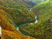 Rafting A60-04-29-F 8487 full