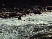Rafting DSC01181