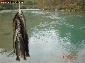 Rafting Rafting Neretva DSC00935